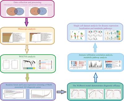 Identification of diagnostic genes for both Alzheimer’s disease and Metabolic syndrome by the machine learning algorithm